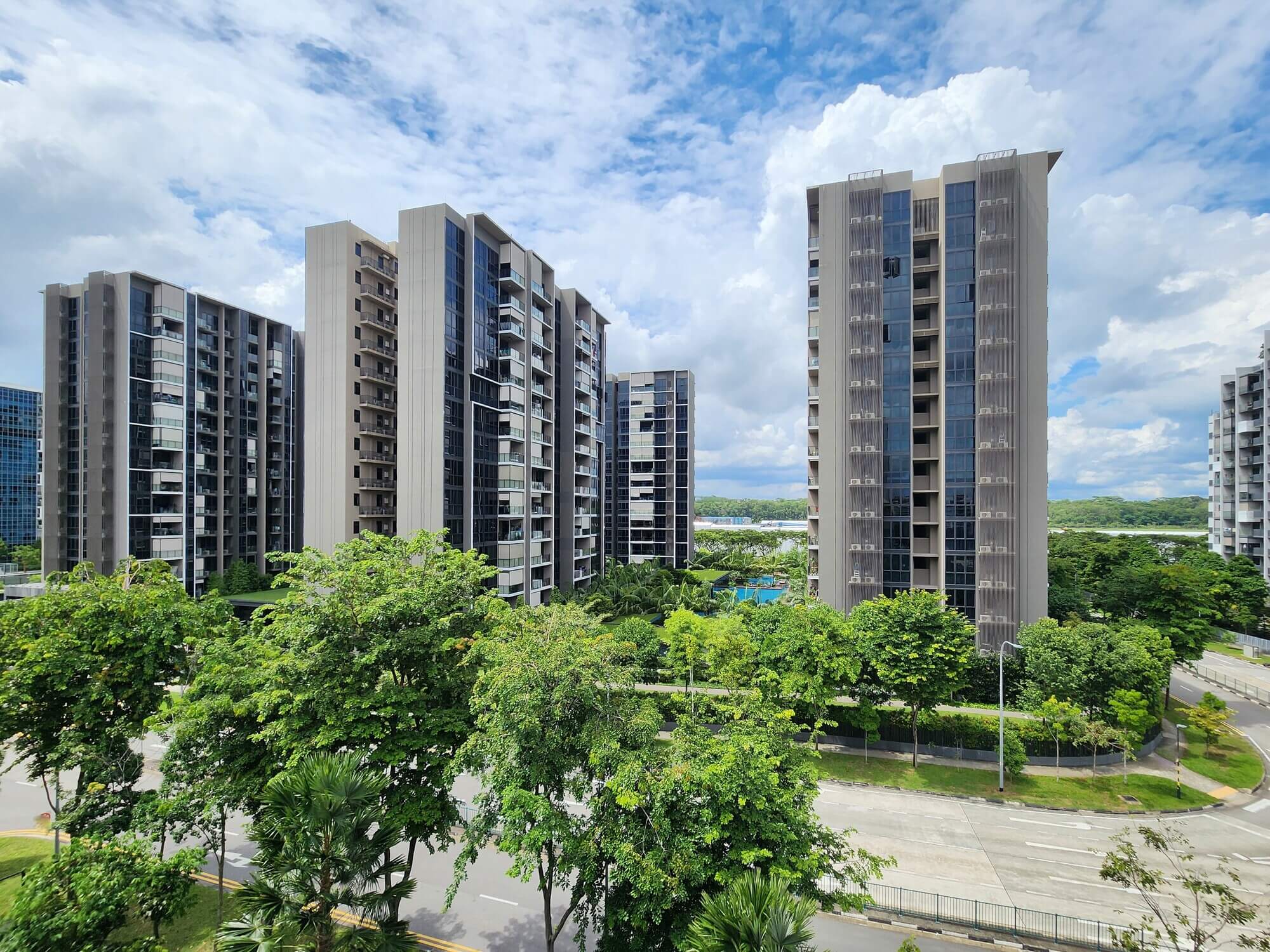 image for The Tapestry