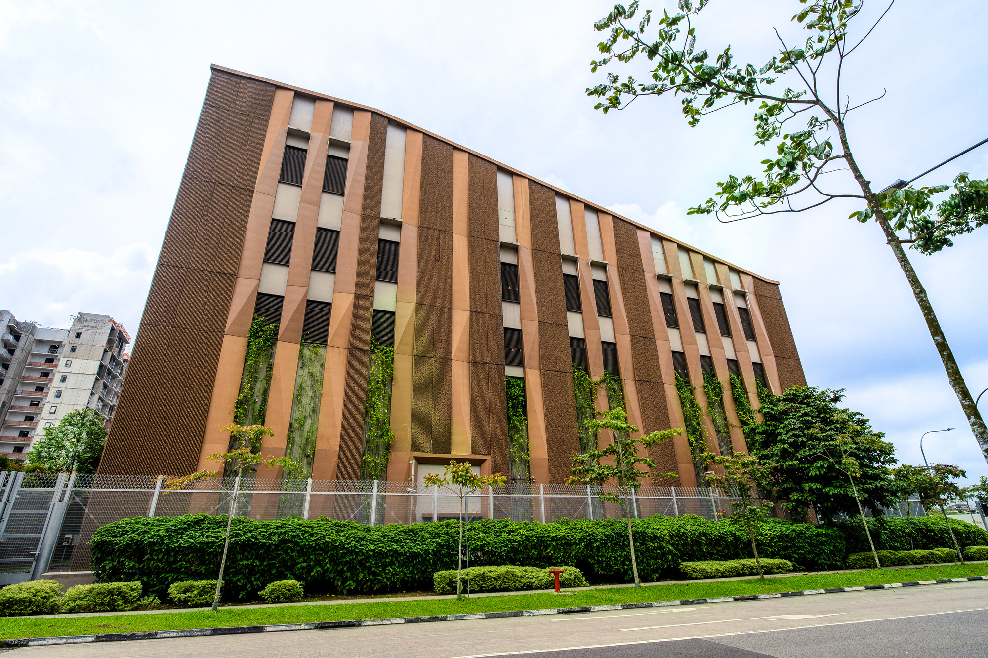 image for Electrical Substation @ Dairy Farm